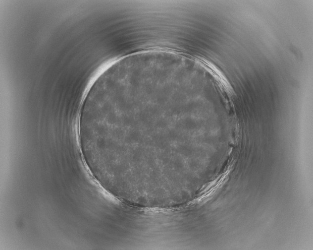 X0000114180812200911191306