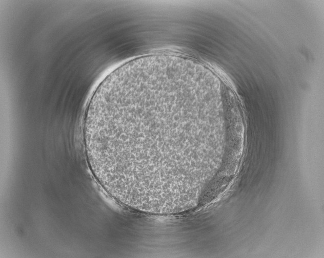 X0000114180816200911191306