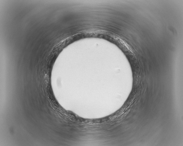 X0000114180821200911191306