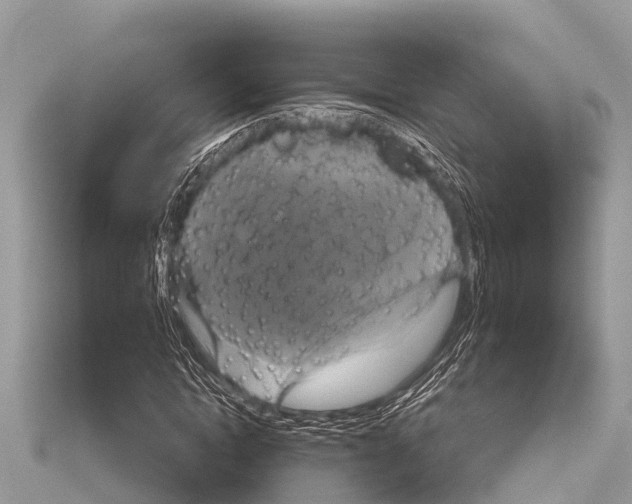 X0000114180822200911191306