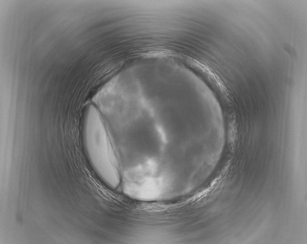 X0000114180825200911191306