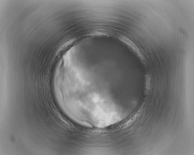 X0000114180826200911191306