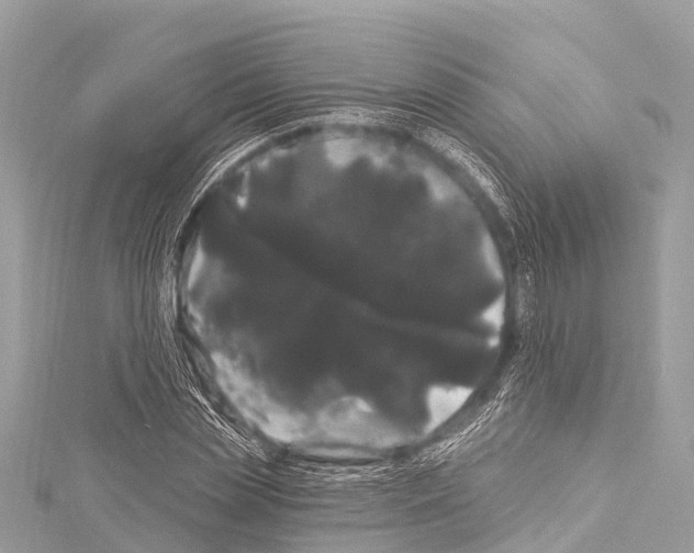 X0000114180829200911191306