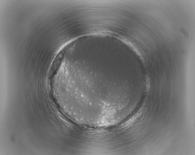 X0000114180830200911191306