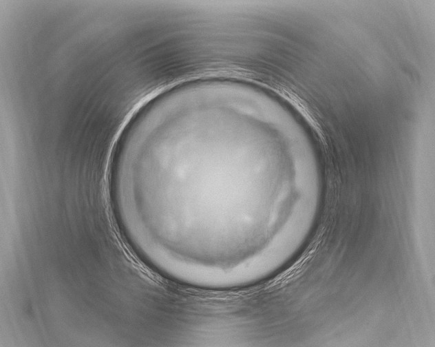 X0000114180832200911191306