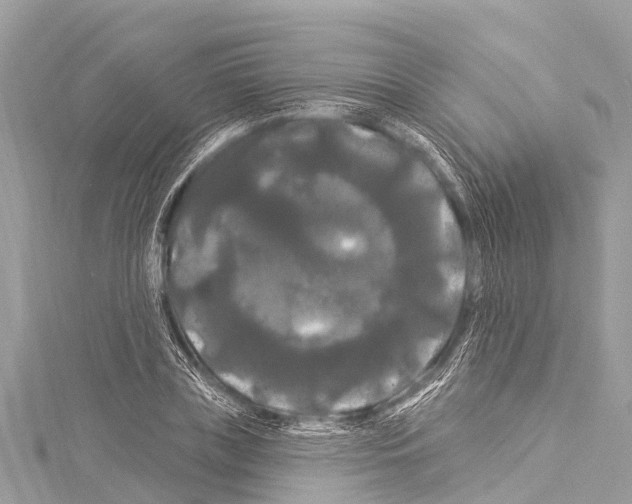 X0000114180835200911191306