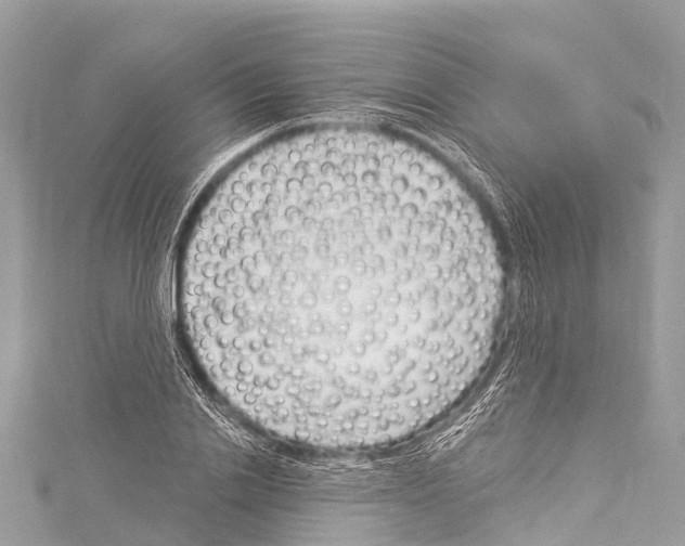 X0000114180838200911191306