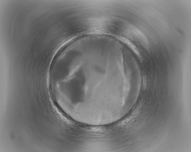 X0000114180839200911191306