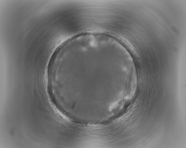 X0000114180840200911191306