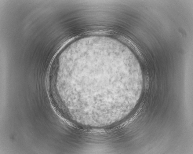 X0000114180844200911191306