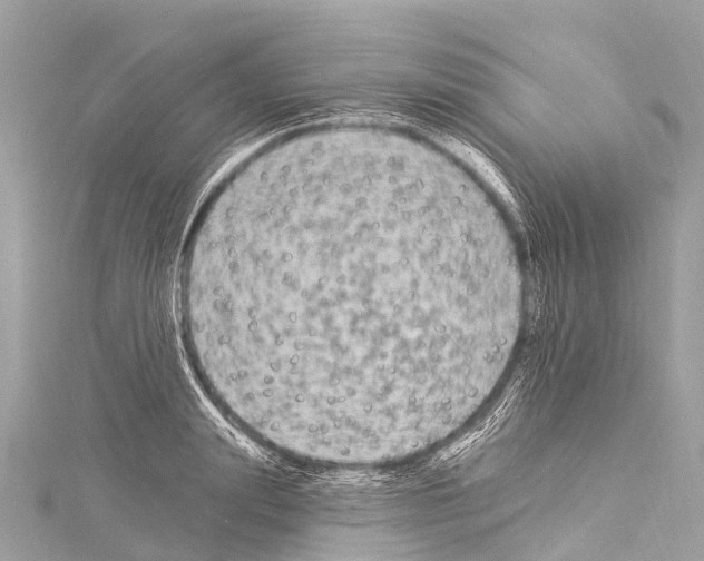 X0000114180847200911191306