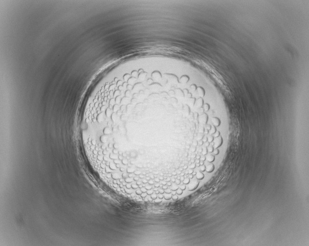 X0000114180848200911191306