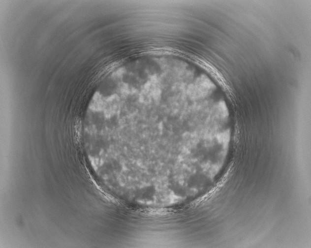 X0000114180849200911191306