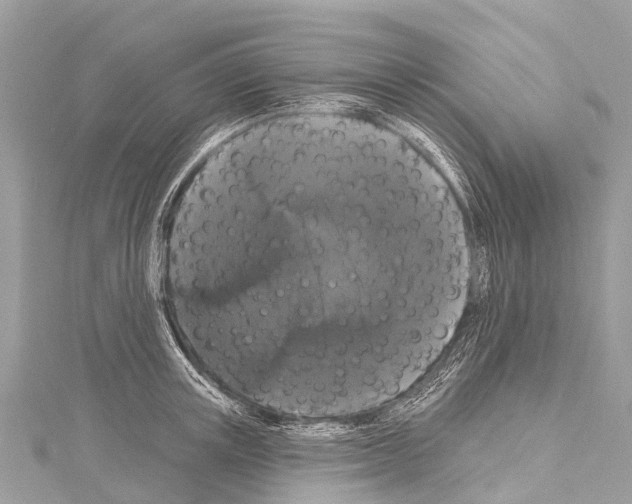 X0000114180851200911191306