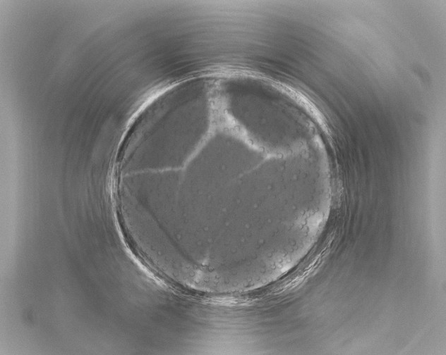 X0000114180855200911191306