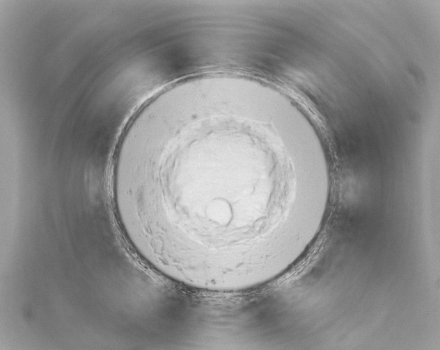 X0000114180856200911191306