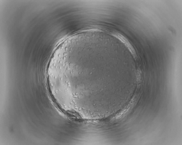 X0000114180858200911191306