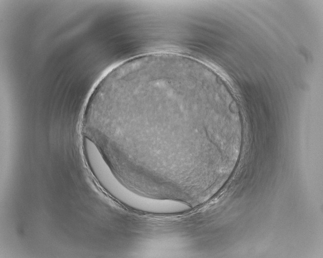 X0000114180864200911191306