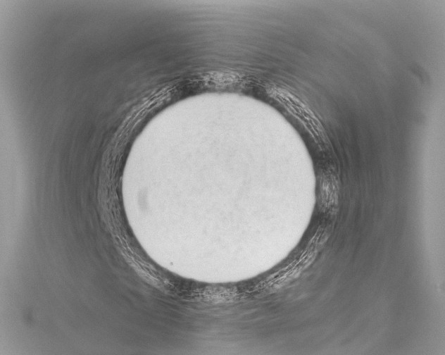 X0000114180865200911191305