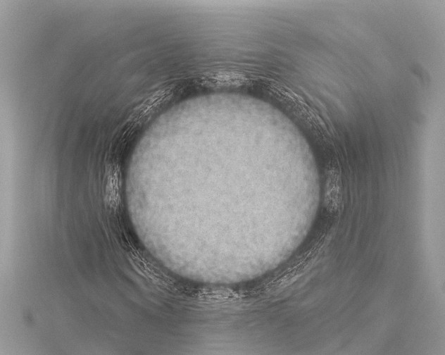 X0000114180866200911191305