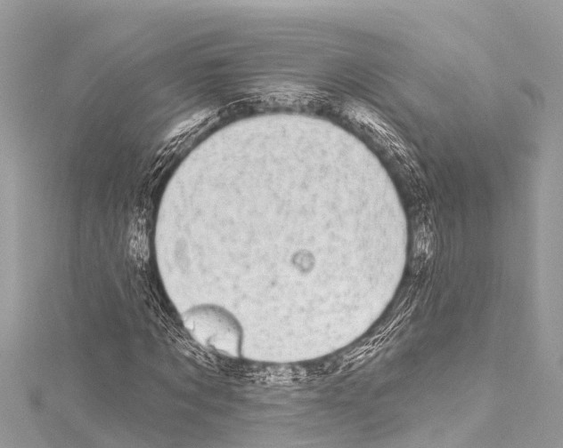 X0000114180869200911191305