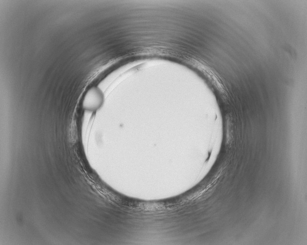 X0000114180876200911191305