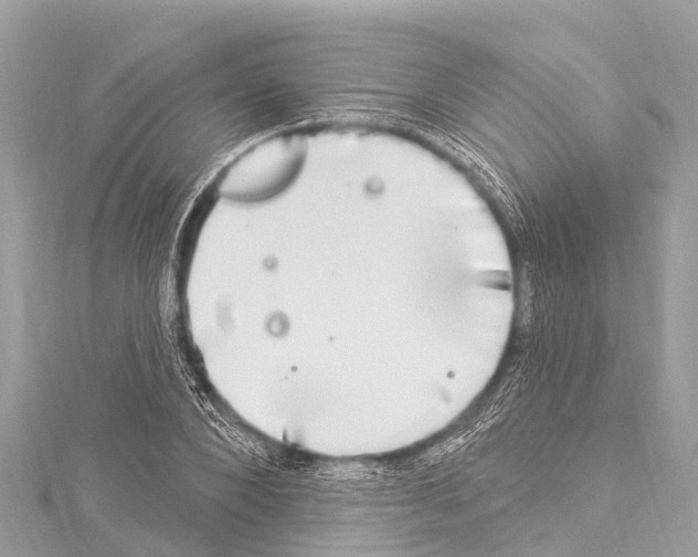 X0000114180880200911191305