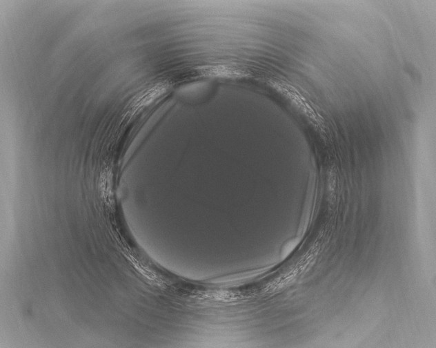 X0000114180881200911191305