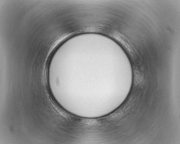 X0000114180886200911191305