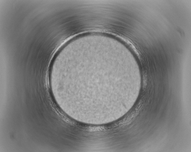 X0000114180887200911191305