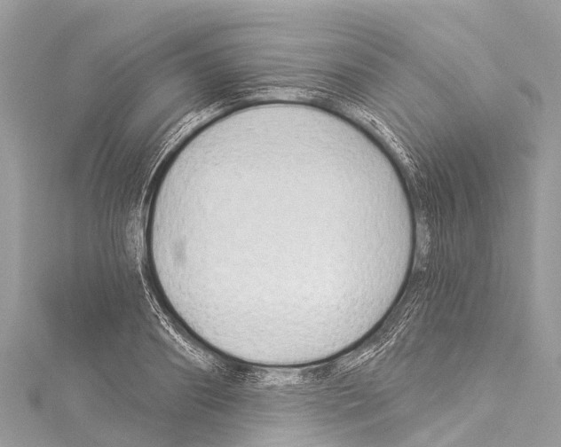 X0000114180890200911191305