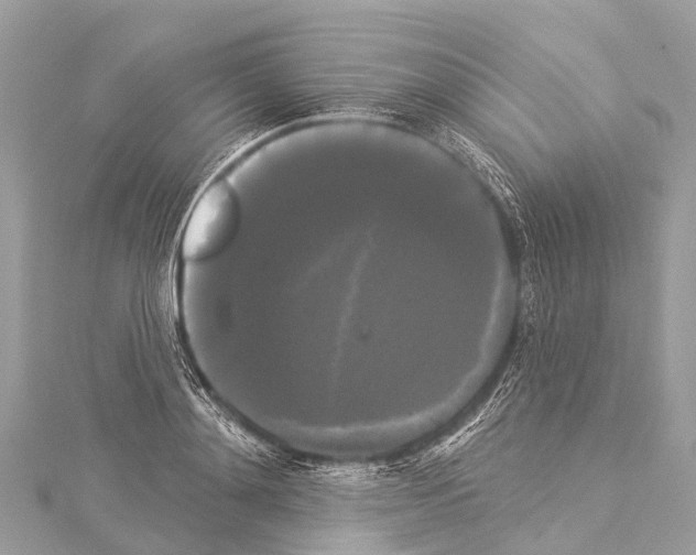 X0000114180892200911191305