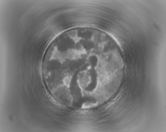 X0000114180895200911191305