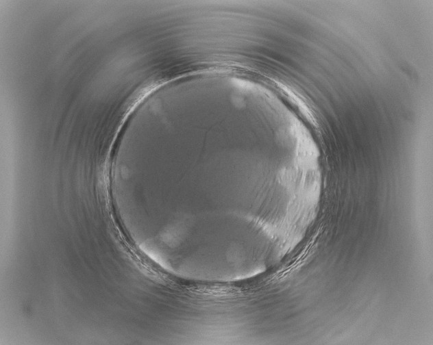 X0000114180899200911191305