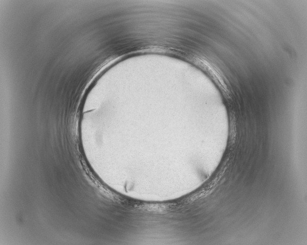 X0000114180900200911191305