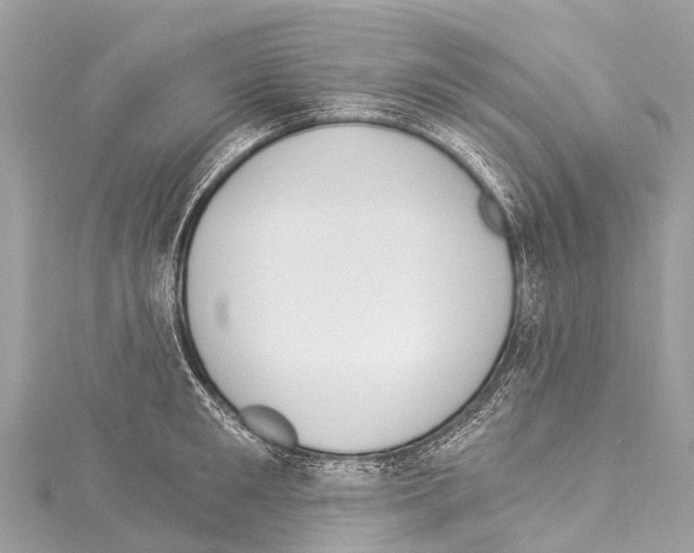 X0000114180901200911191305