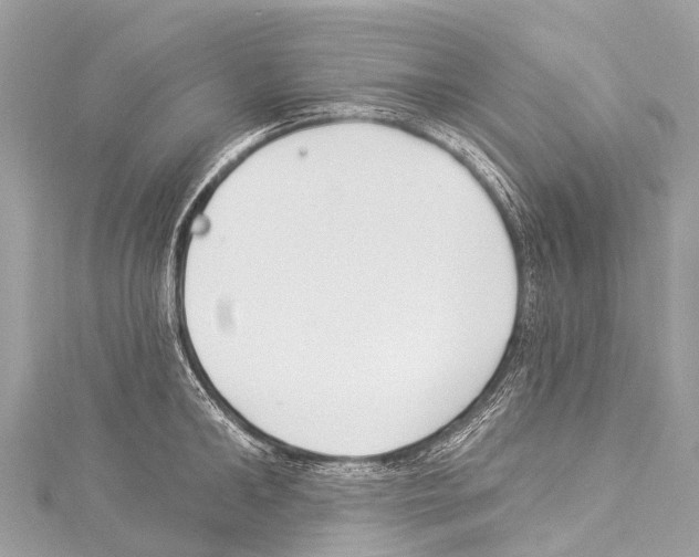 X0000114180902200911191305