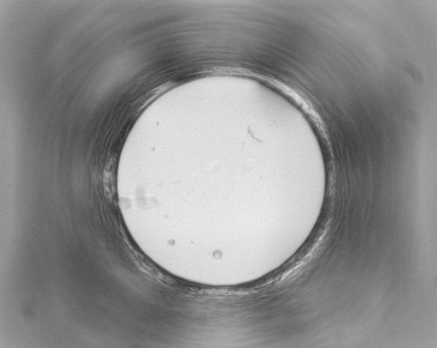 X0000114180905200911191305