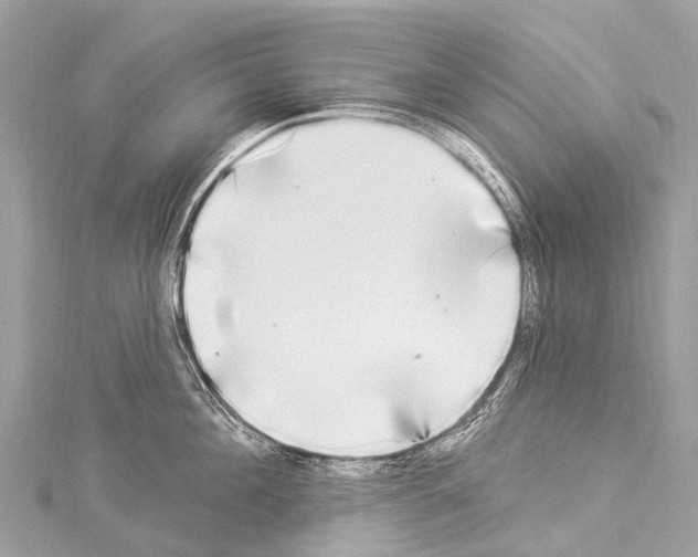 X0000114180908200911191305