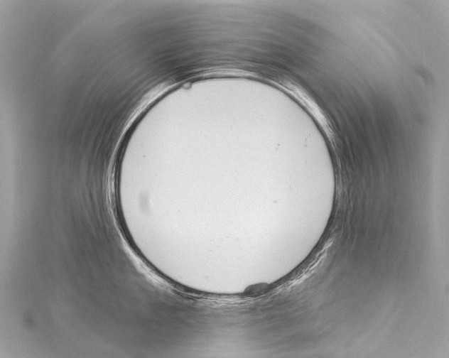 X0000114180909200911191305