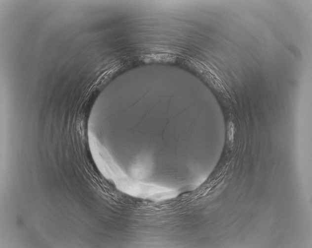 X0000114180915200911191304