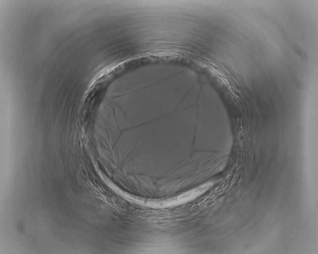 X0000114180920200911191304