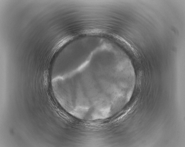 X0000114180921200911191304