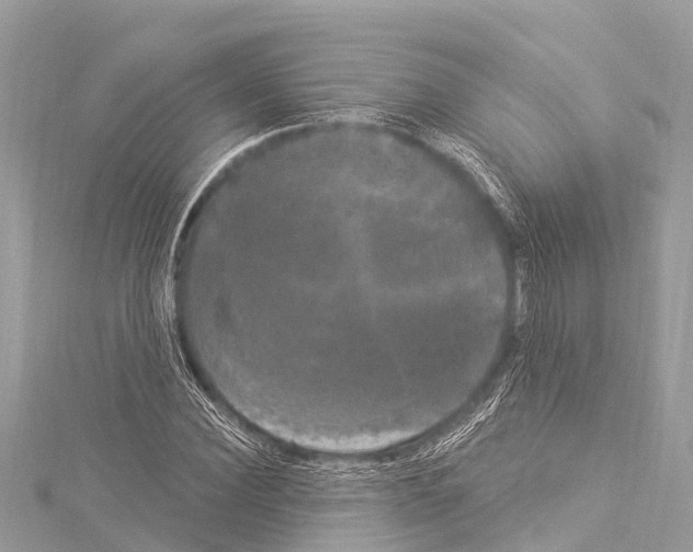 X0000114180924200911191304