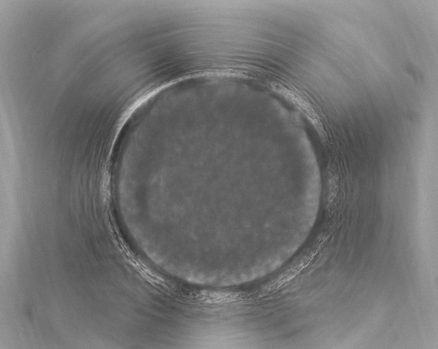 X0000114180928200911191304