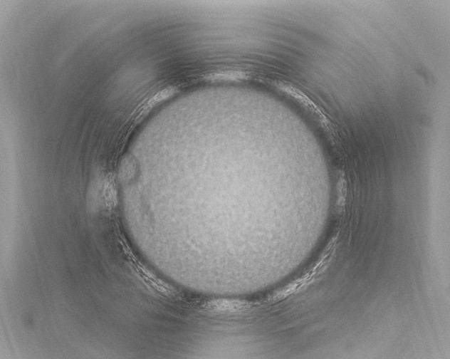 X0000114180929200911191304