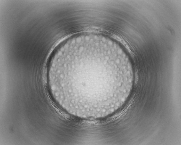 X0000114180931200911191304