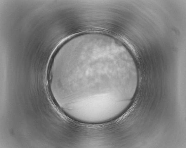 X0000114180940200911191304