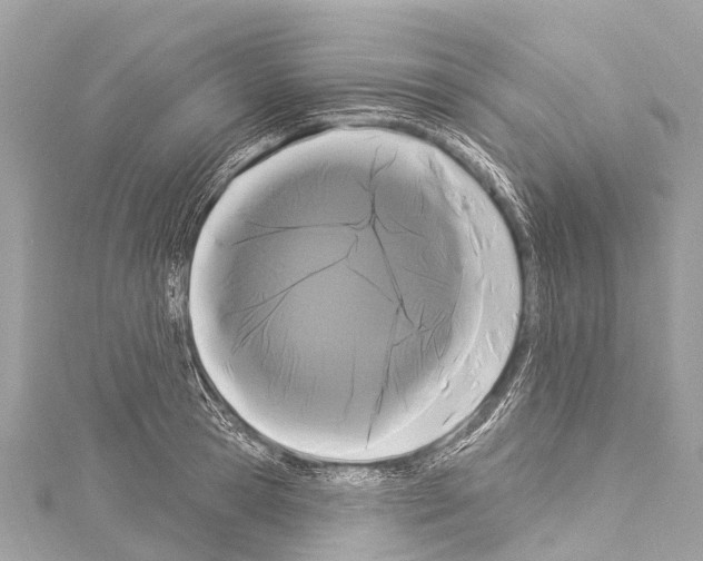 X0000114180945200911191305