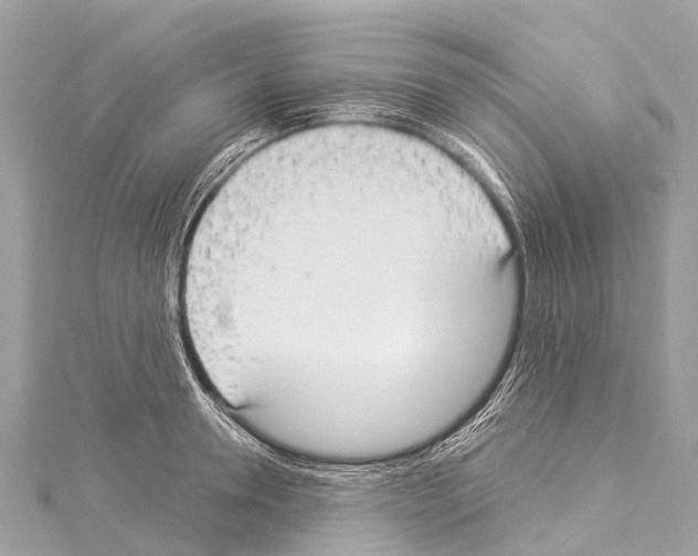 X0000114180946200911191305